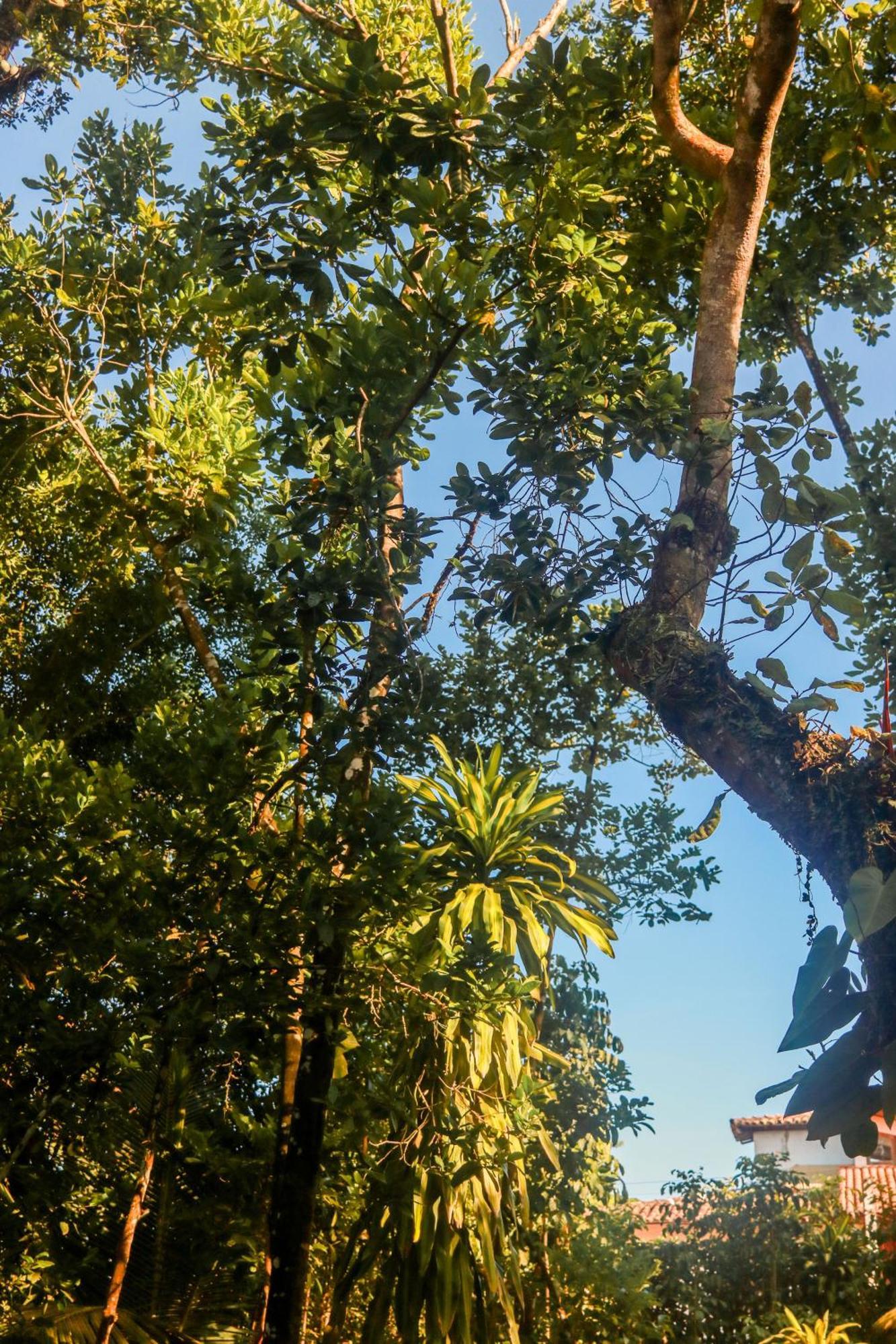 Pousada Guaiamum Itacaré Dış mekan fotoğraf